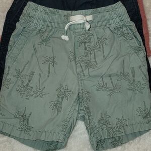 GAP Sage Green Palm-Print Elastic Waist Shorts